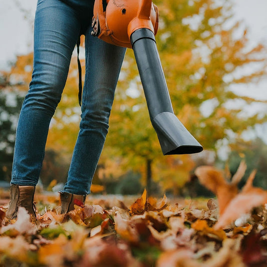 3 Reasons to Use an Air Blower